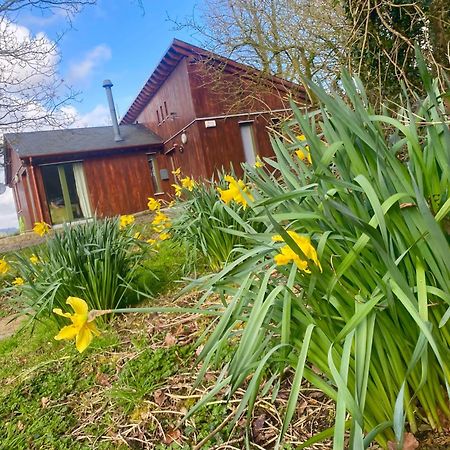 Ballyhoura Mountain Lodges Ballyorgan Εξωτερικό φωτογραφία
