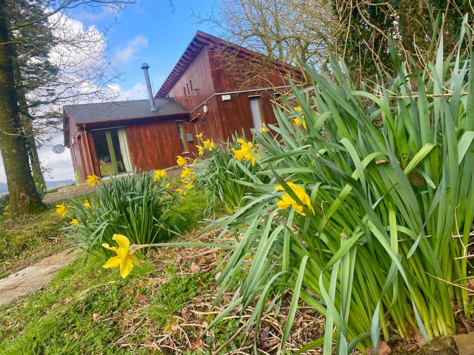 Ballyhoura Mountain Lodges Ballyorgan Εξωτερικό φωτογραφία