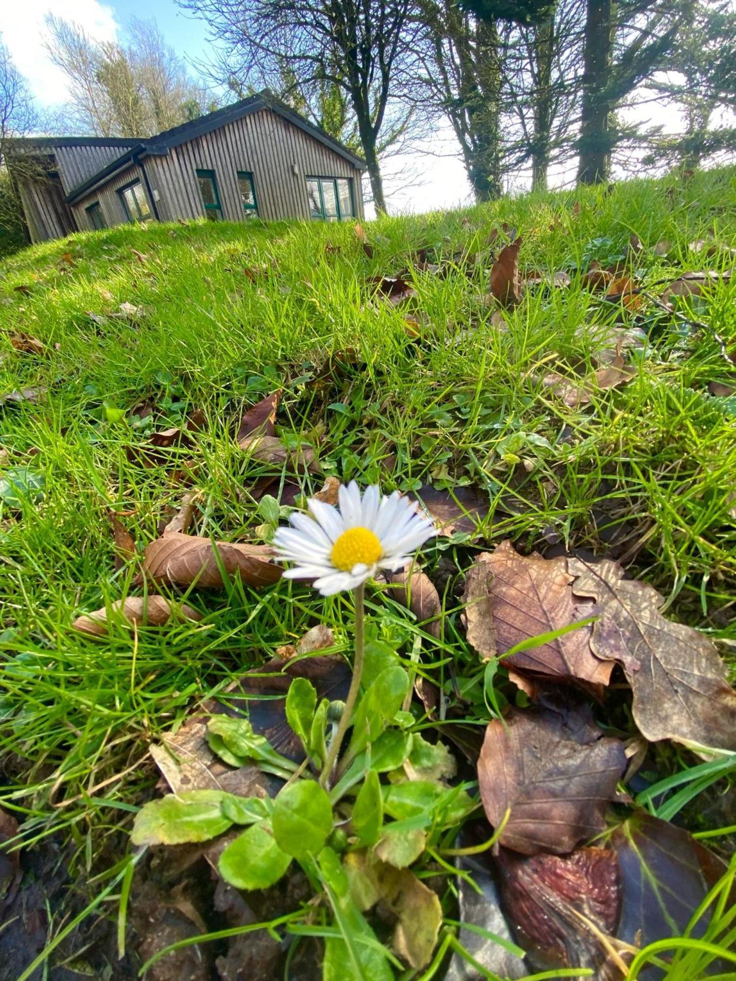 Ballyhoura Mountain Lodges Ballyorgan Εξωτερικό φωτογραφία