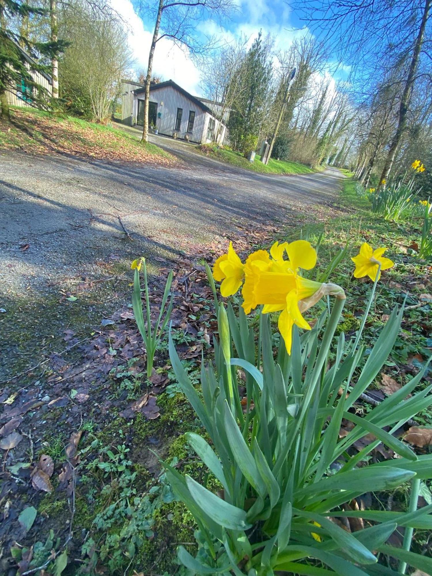 Ballyhoura Mountain Lodges Ballyorgan Εξωτερικό φωτογραφία